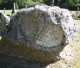 Headstone | Samuel Godfrey Nestle