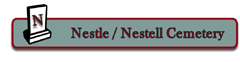 Nestle Cemetery (Stone Arabia, New York)