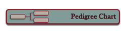 Pedigree Chart (Base)